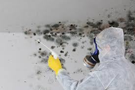 Mold Remediation for Rental Properties in Lithia Springs, GA